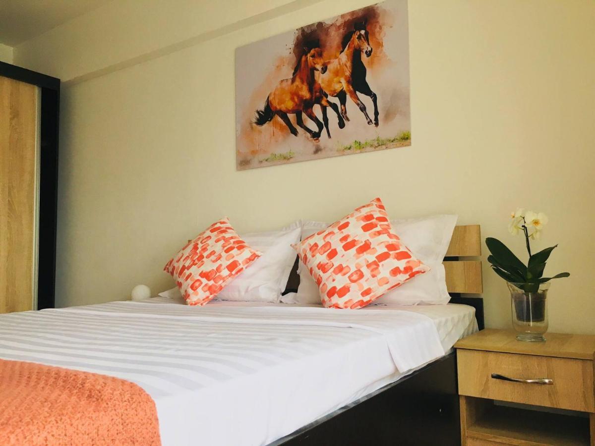 בית אירוח Center Unirii Square Private With View - Shared Amenities *